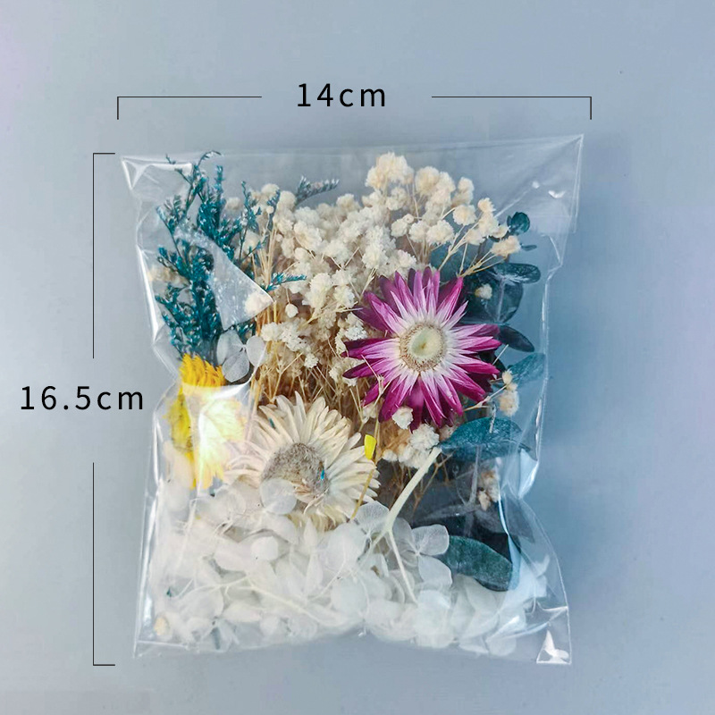 1 Paket Set Bunga Kering Beran - Craft Embellishment ulasan dan harga